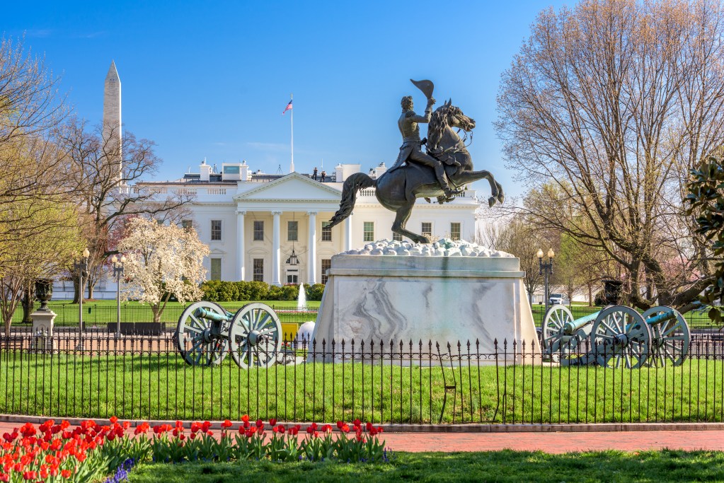 Recent X Post Lafayette Park Protest on 6/8/2024